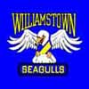 Williamstown Seagulls Football Club